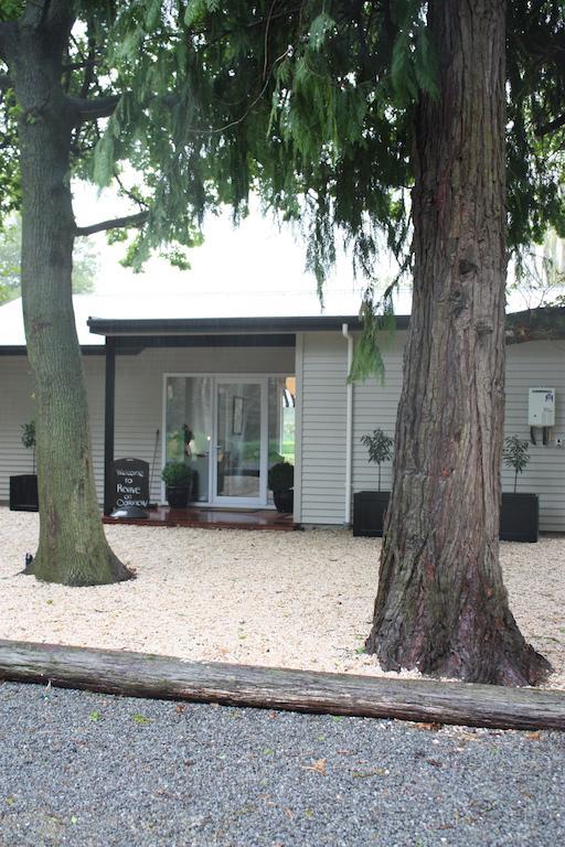 Revive On Oakview Boutique Beauty And Accommodation Ashburton Exteriör bild