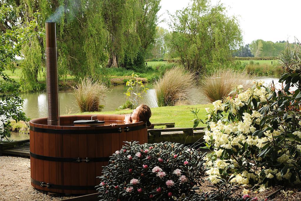 Revive On Oakview Boutique Beauty And Accommodation Ashburton Rum bild