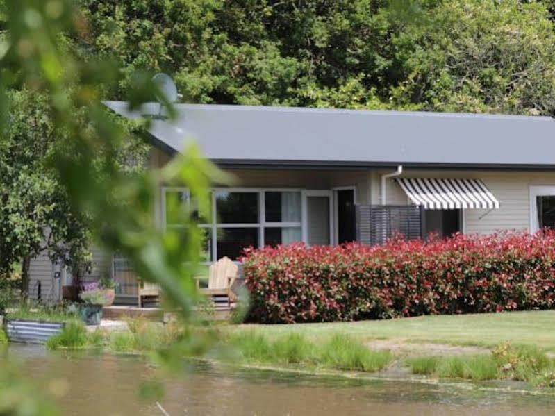 Revive On Oakview Boutique Beauty And Accommodation Ashburton Exteriör bild